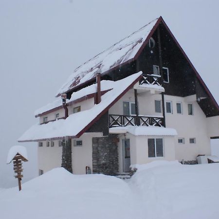 Snow House Vandrarhem Gudauri Exteriör bild